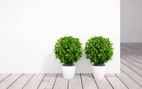 �Gɫ�h(hu��n)�����o���oζ