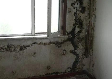 �ЙC(j��)���ز��Ϻ͟o�C(j��)���ز����״�����Щ�|(zh��)�����}��