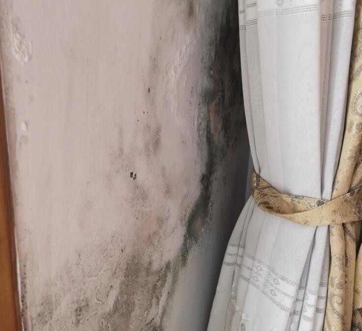 ����Ǽ��b�≦��������������Љ��ڰl(f��)ù����ô���£�